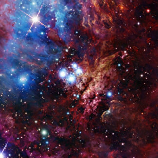 Starry Sky Brown